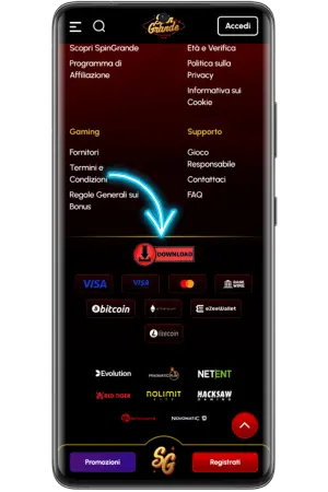 Pulsante verde per iniziare Spingrande scaricare app su Android