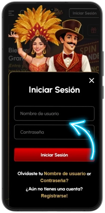 Formulario de acceso a Spingrande