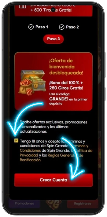 Tercer paso de registro en Spingrande
