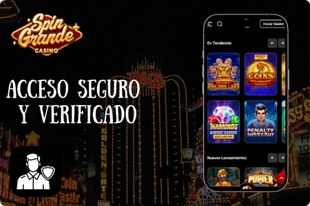 Verificación y primer acceso en Spingrande