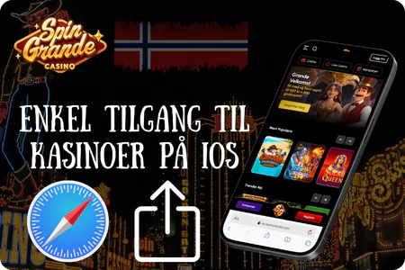 Instruksjoner for å installere Spingrande på iPhone via Safari